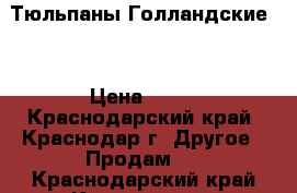 Тюльпаны Голландские . › Цена ­ 25 - Краснодарский край, Краснодар г. Другое » Продам   . Краснодарский край,Краснодар г.